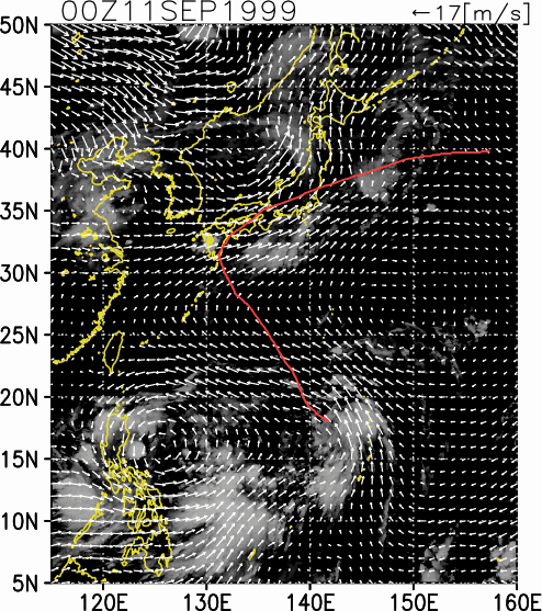 台風上陸 hqdefault.jpg